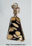 Petrified Peanut Wood Pendant